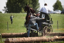 Piknik Zaprzęgowy w Piastowie