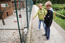 Nasze dzieci są wspaniałe! Nasze dzieci są wspaniałe!