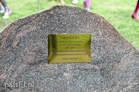 Niech ten dąb przypomina nam o drodze do wolności