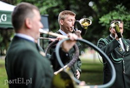 Niech ten dąb przypomina nam o drodze do wolności