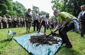 Niech ten dąb przypomina nam o drodze do wolności