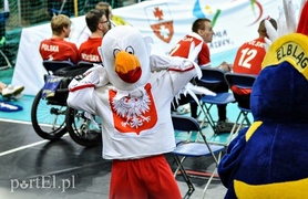 Brazylijczycy pokonali Biało-czerwonych (siatkówka na siedząco)