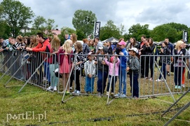 Dni Elbląga: Deszcz popsuł frekwencję