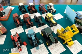 Modelarskie święto w Elblągu