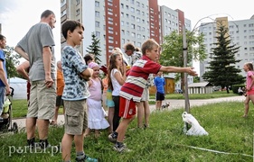 Zawada jak Nowy Jork (aktualizacja)