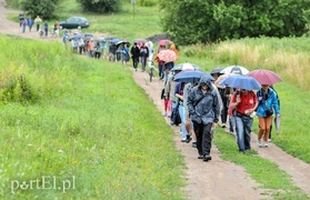 Napoleon, Angela Merkel i wąwóz Owczy, czyli Elbląg trochę mniej znany