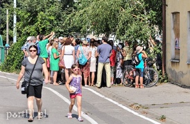 Grunwaldzka, jakiej nie znamy