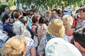 Grunwaldzka, jakiej nie znamy