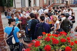Starówka pełna cudów