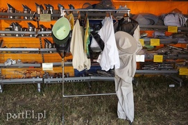 Kraina miodem płynąca Kraina miodem płynąca