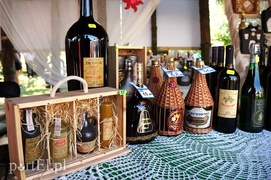 Kraina miodem płynąca