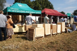 Kraina miodem płynąca Kraina miodem płynąca