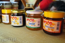 Kraina miodem płynąca Kraina miodem płynąca