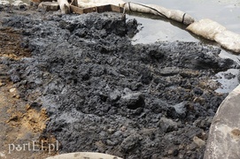 Zanieczyszczenie rzeki Elbląg