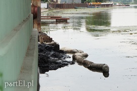 Zanieczyszczenie rzeki Elbląg