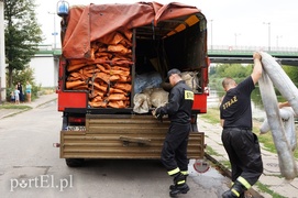 Zanieczyszczenie rzeki Elbląg