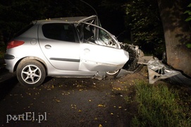 Peugeotem w drzewo: kierowca w szpitalu