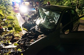 Peugeotem w drzewo: kierowca w szpitalu