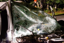 Peugeotem w drzewo: kierowca w szpitalu