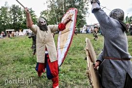 Wolny jak wiking