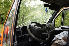 Dąbrowa Kolonia: autem dostawczym w drzewo