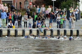Pływali aż miło. Kibice nie zawiedli