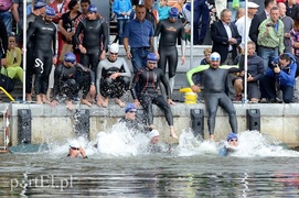 Pływali aż miło. Kibice nie zawiedli