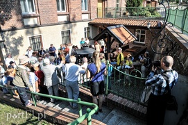 Nieokiełznana, nieujarzmiona, dzika – sobota z przewodnikiem śladem Dzikuski