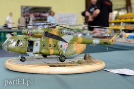 Elbląscy modelarze na medal