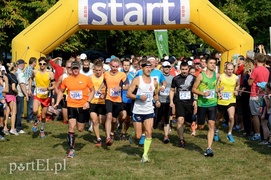 W pogoni za Bażantem