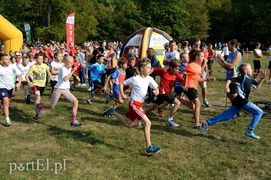 W pogoni za Bażantem W pogoni za Bażantem