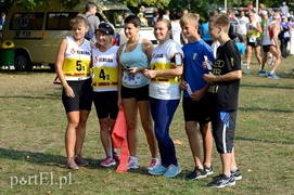 W pogoni za Bażantem