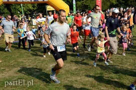 W pogoni za Bażantem