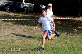 W pogoni za Bażantem W pogoni za Bażantem