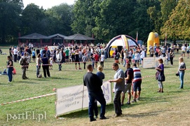 W pogoni za Bażantem