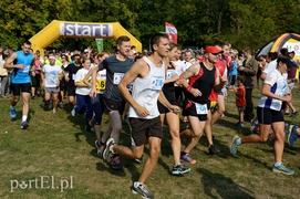 W pogoni za Bażantem W pogoni za Bażantem