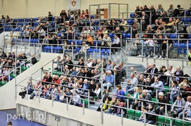 Męczarnie Startu (piłka ręczna)