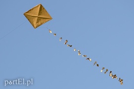 Dmuchawce, latawce, wiatr…