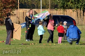 Dmuchawce, latawce, wiatr…