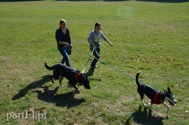 Pobiegli na sześć łap