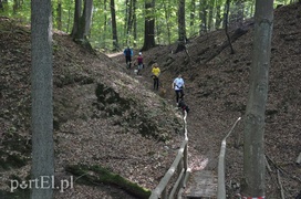 Pobiegli na sześć łap
