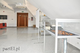 Ratusz już otwarty. Widać z niego zalew