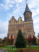 Kaliningrad szokuje cenami (korespondencja własna)