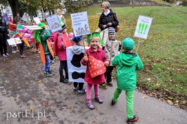 Nie marnuj - zjedz albo oddaj