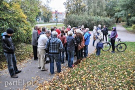 Tajemniczy park w sercu miasta