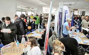 Ponad 500 ofert pracy, nie wszyscy zadowoleni