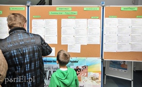 Ponad 500 ofert pracy, nie wszyscy zadowoleni