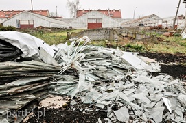 Mieszkania zamiast szklarni