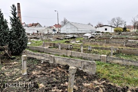 Mieszkania zamiast szklarni