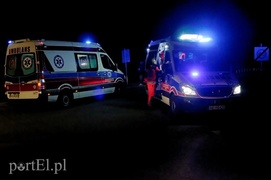 Fiestą wlecieli do ogródka działkowego